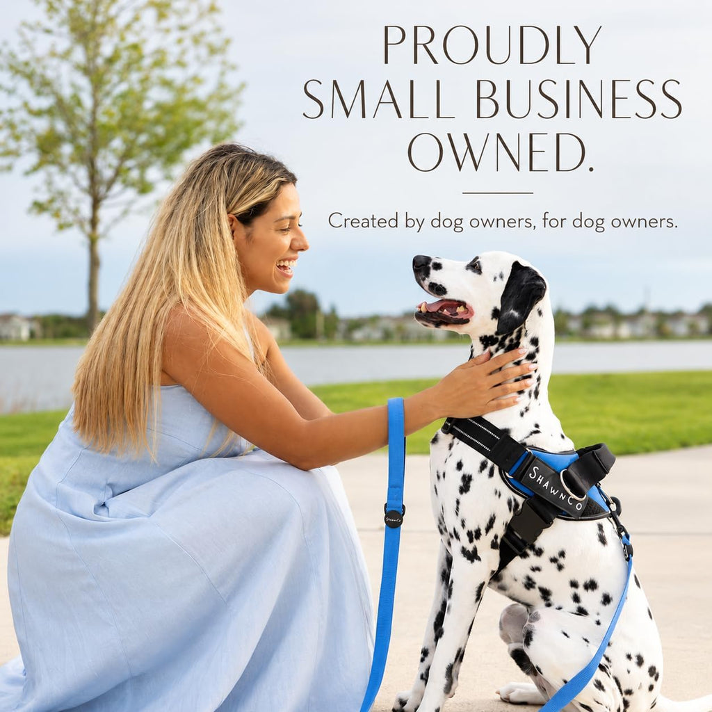 ShawnCo Dream Walk Dog Leash (Icy Lilac,M/L 6FT w/ 2 Handles)