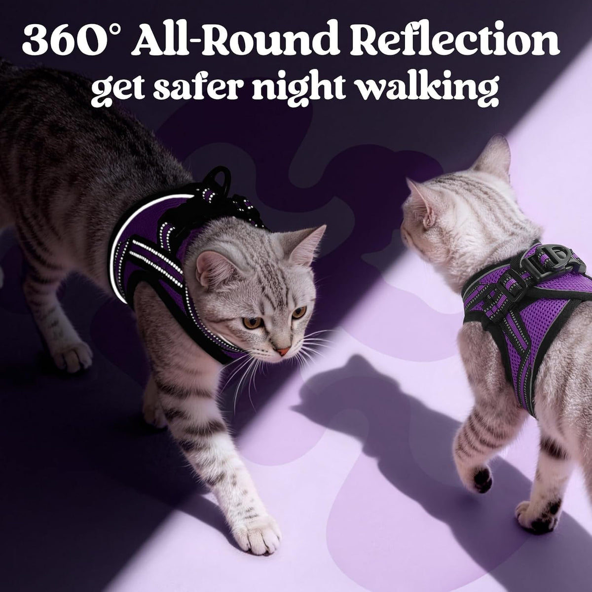 rabbitgoo Cat Harness and Leash Set, Step-in Soft Vest, Purple