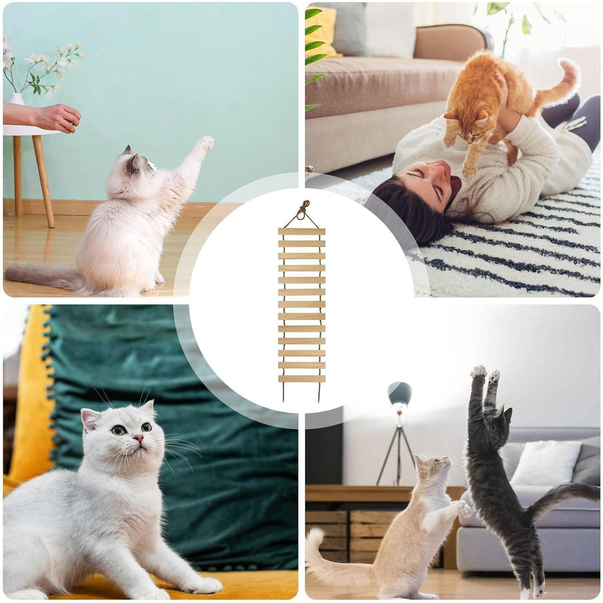 Wall-Mounted Cat Ladder, Wooden Cat Bridge with Multi-Level Steps