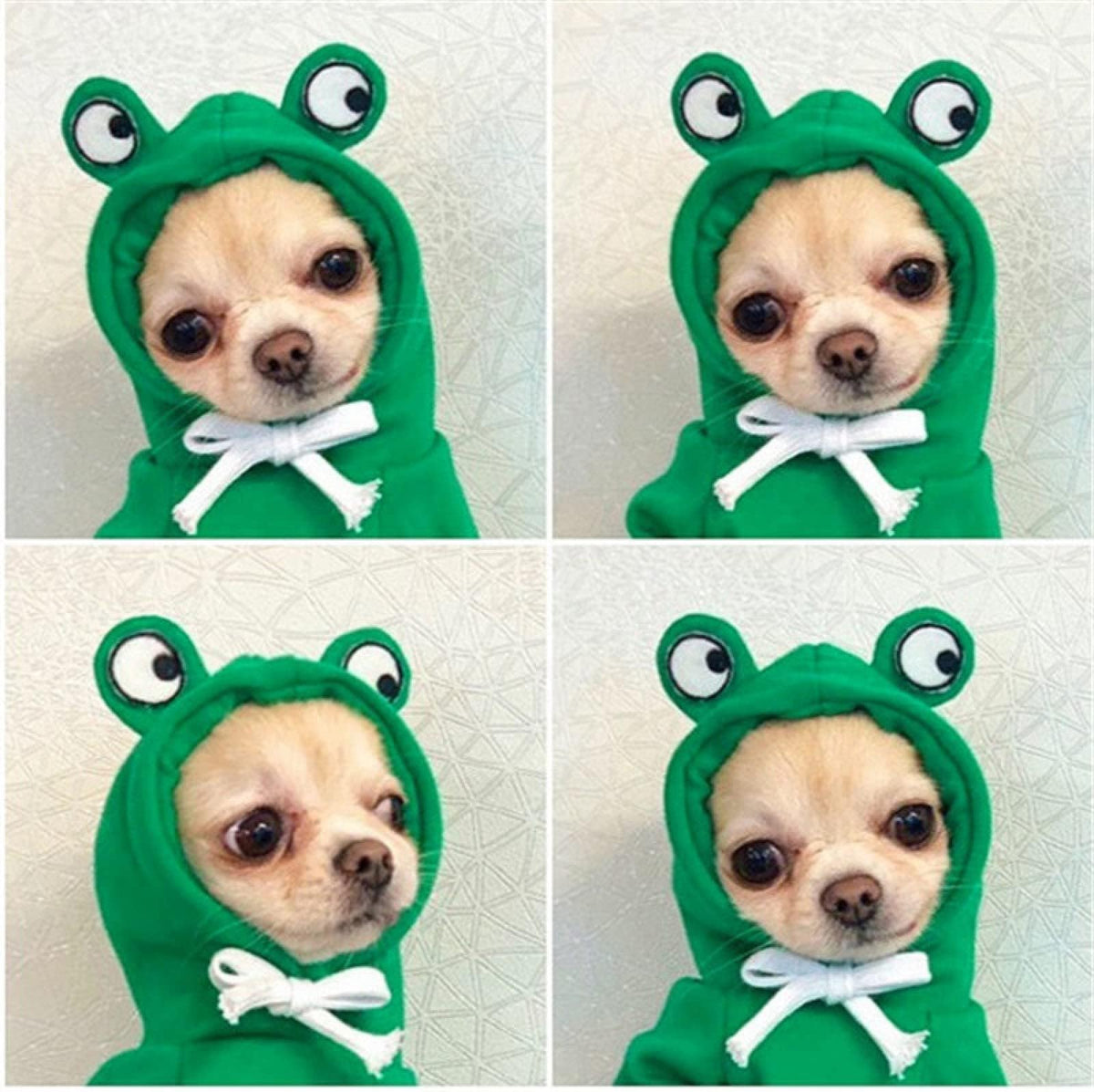 Maruomiki Warm Dog Hoodie Clothes Fleece Lined Winter Cute Coat, Frog S