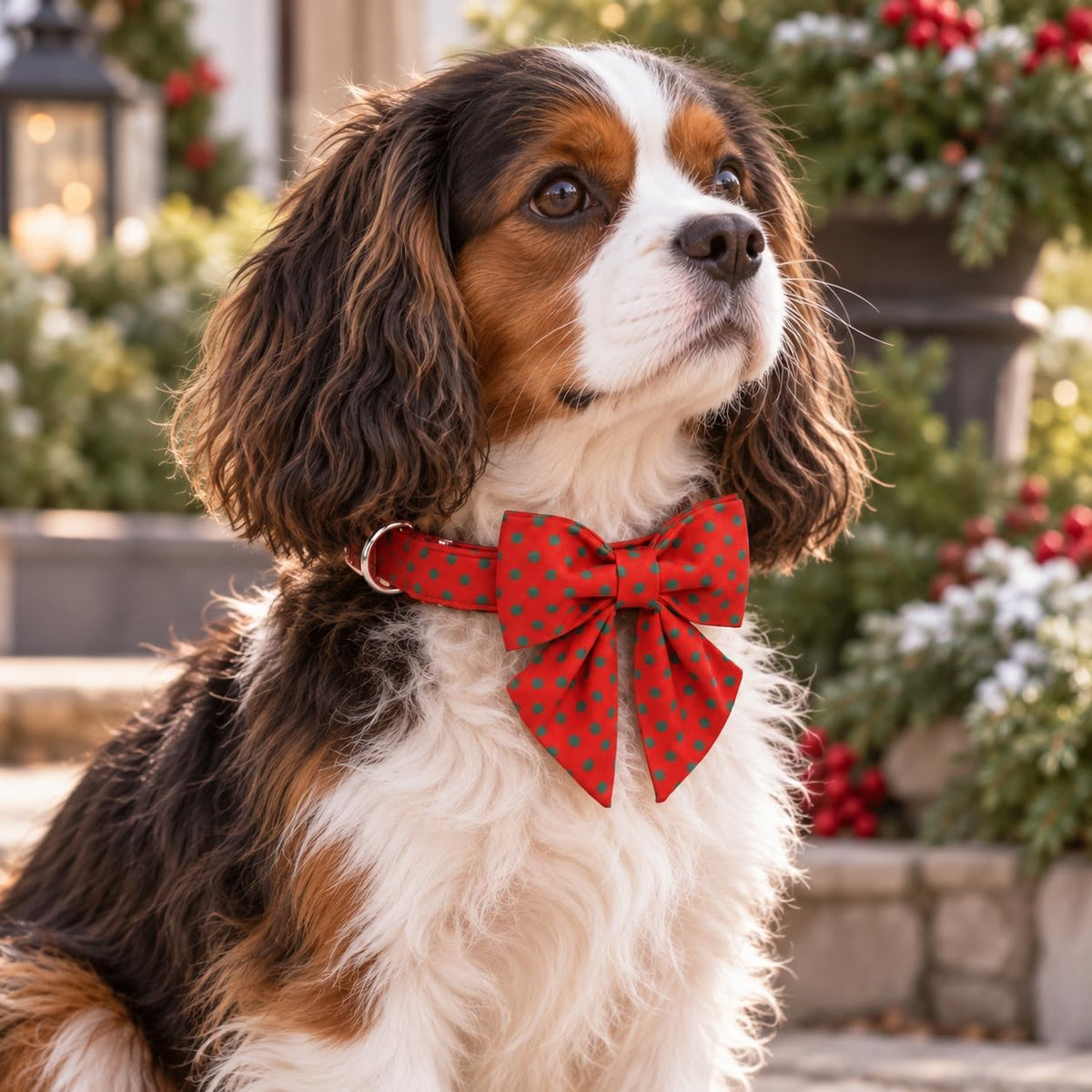 Christmas Dog Collar Bow Medium Girl Boy Dog-Red Polka M