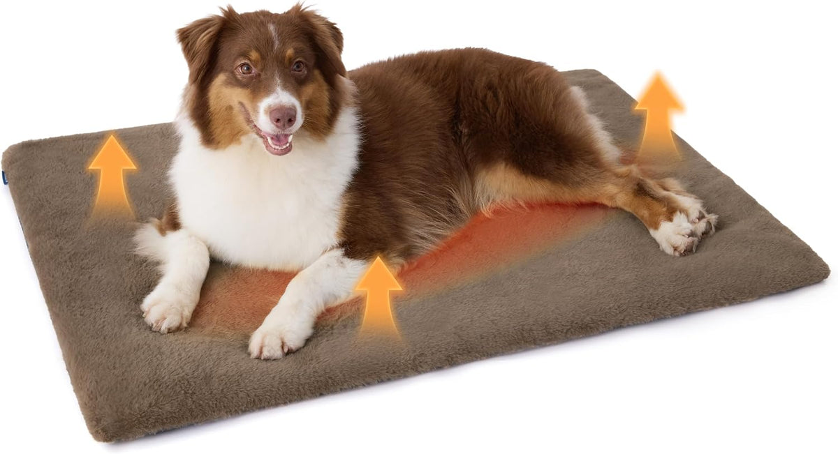 Bedsure Self Warming Cat Bed Mat,Small Pet Extra Warm Self Heating Cat Pad