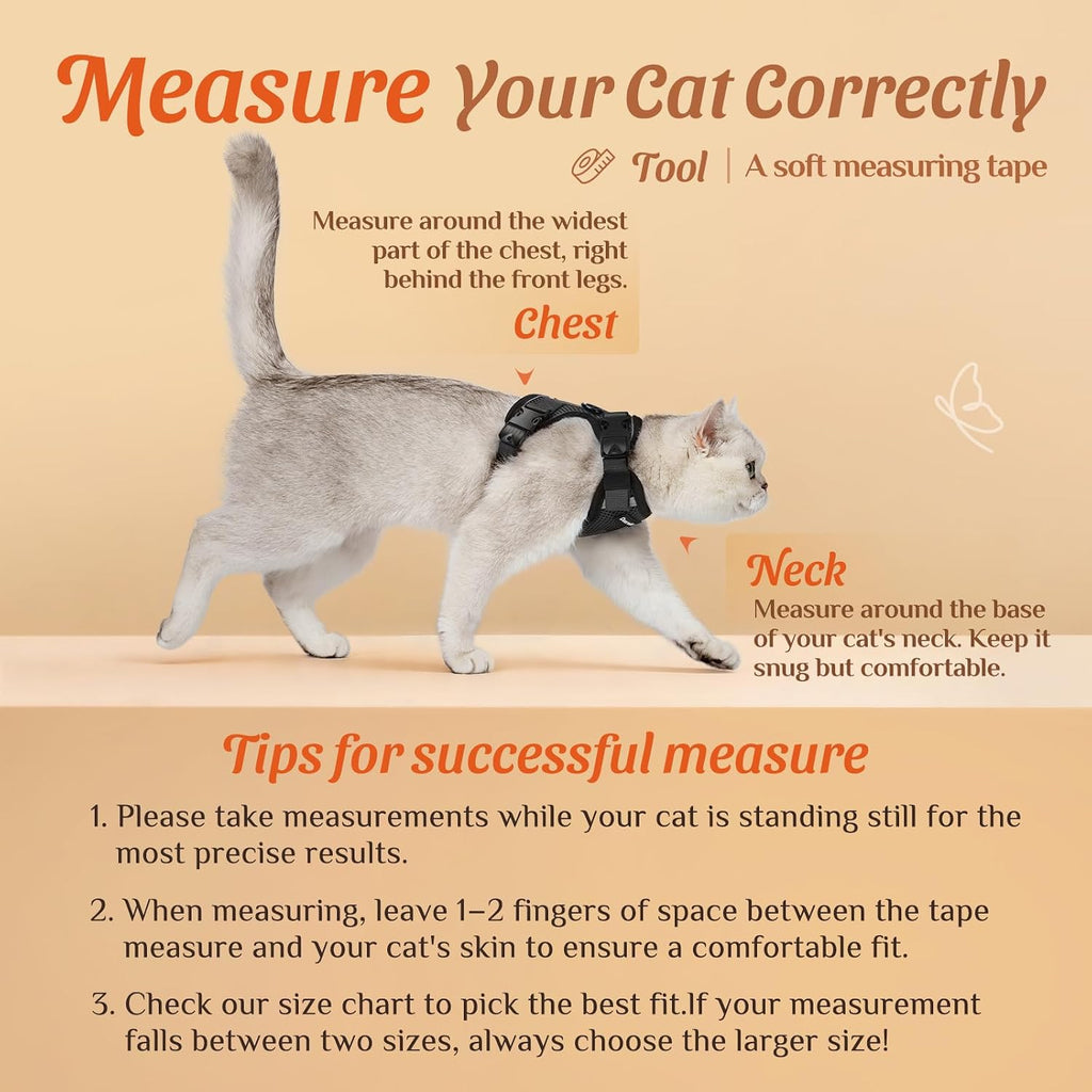 Cat Harness and Leash Set with Neck Release Buckle, Black