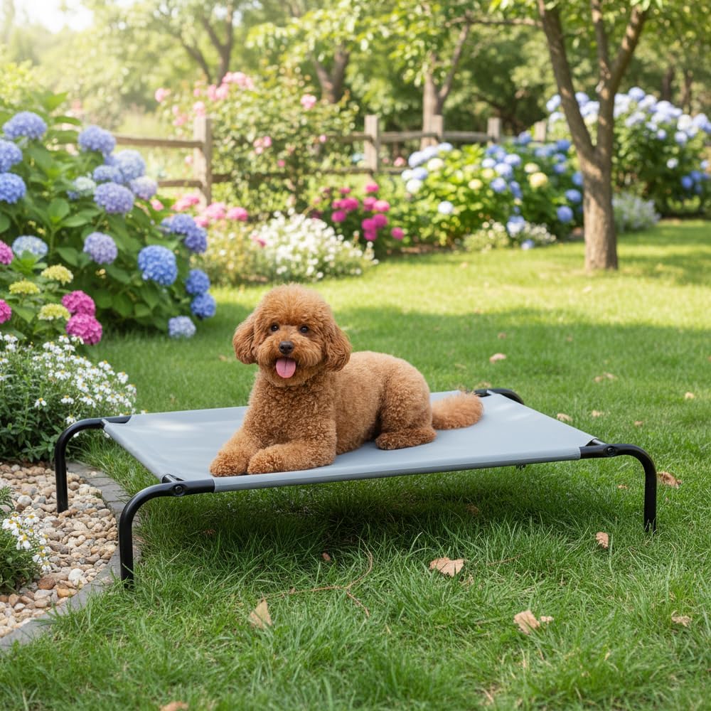 Amazon Basics Cooling Breathable Elevated Dog Bed with Durable Metal Frame, Medium, 43 x 26 x 7.5 Inch, Grey, Easy to As