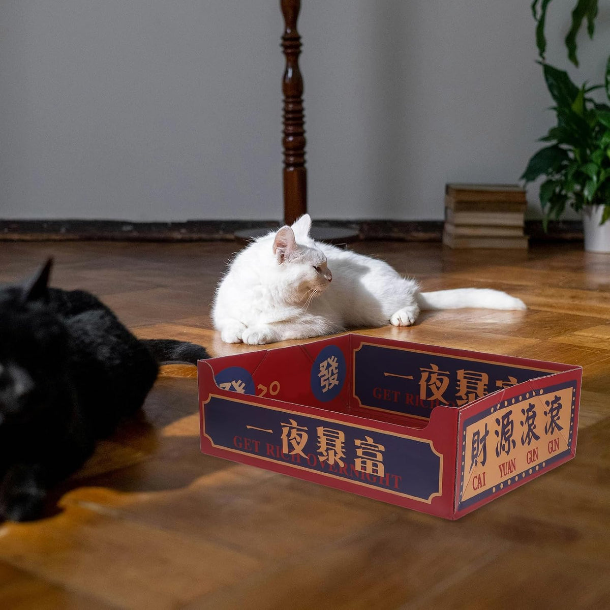 Portable Corrugated Paper Cat Litter Box Open Top Foldable Travel Tray