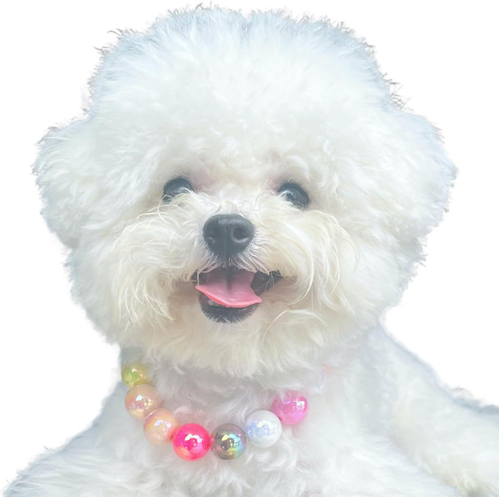 Dogs necklace,Pet Fashion Necklace,Colorful Beaded Necklace,