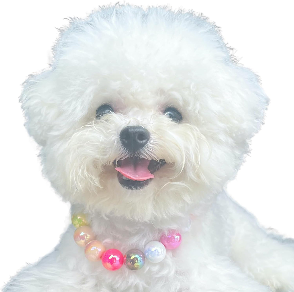 Dogs necklace,Pet Fashion Necklace,Colorful Beaded Necklace,