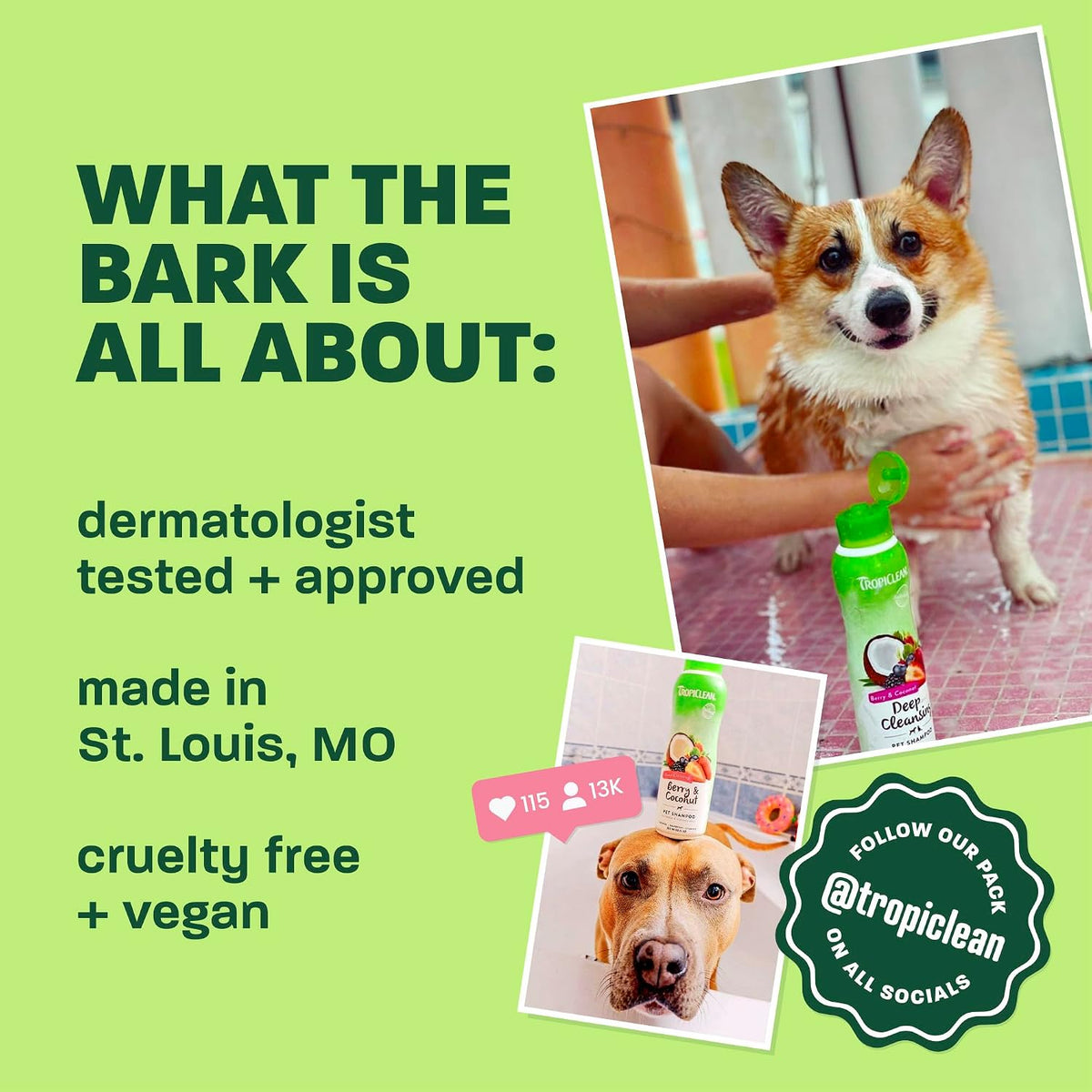 TropiClean Moisturizing Dog Conditioner, Vanilla Bean Scent, 20oz