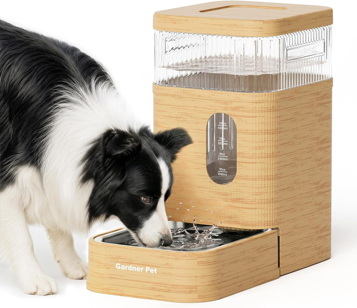 2.2 Gallon Automatic Dog Water Dispenser with Stainless Steel Bowl
