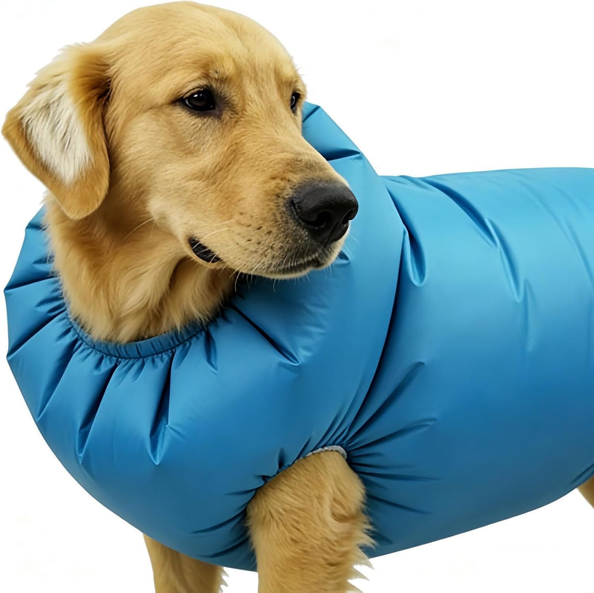 Pet Drying Bag, 360° Air Circulation Grooming Blower Sack