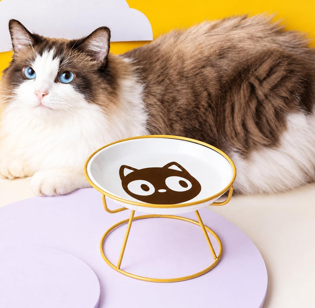 Elevated Ceramic Cat Bowl with Stand