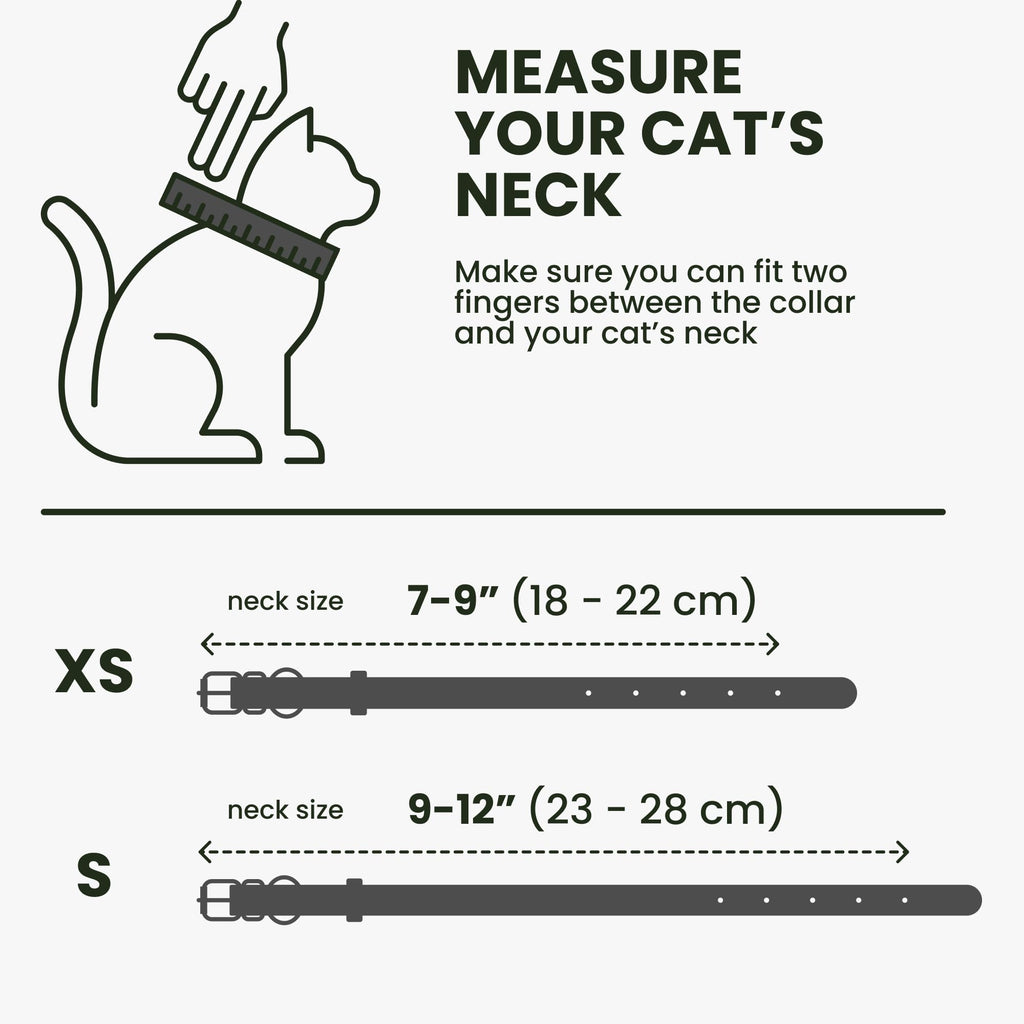 Leather Cat Collar, Removable Bells, QR Tag (7-9", Black & Gold)