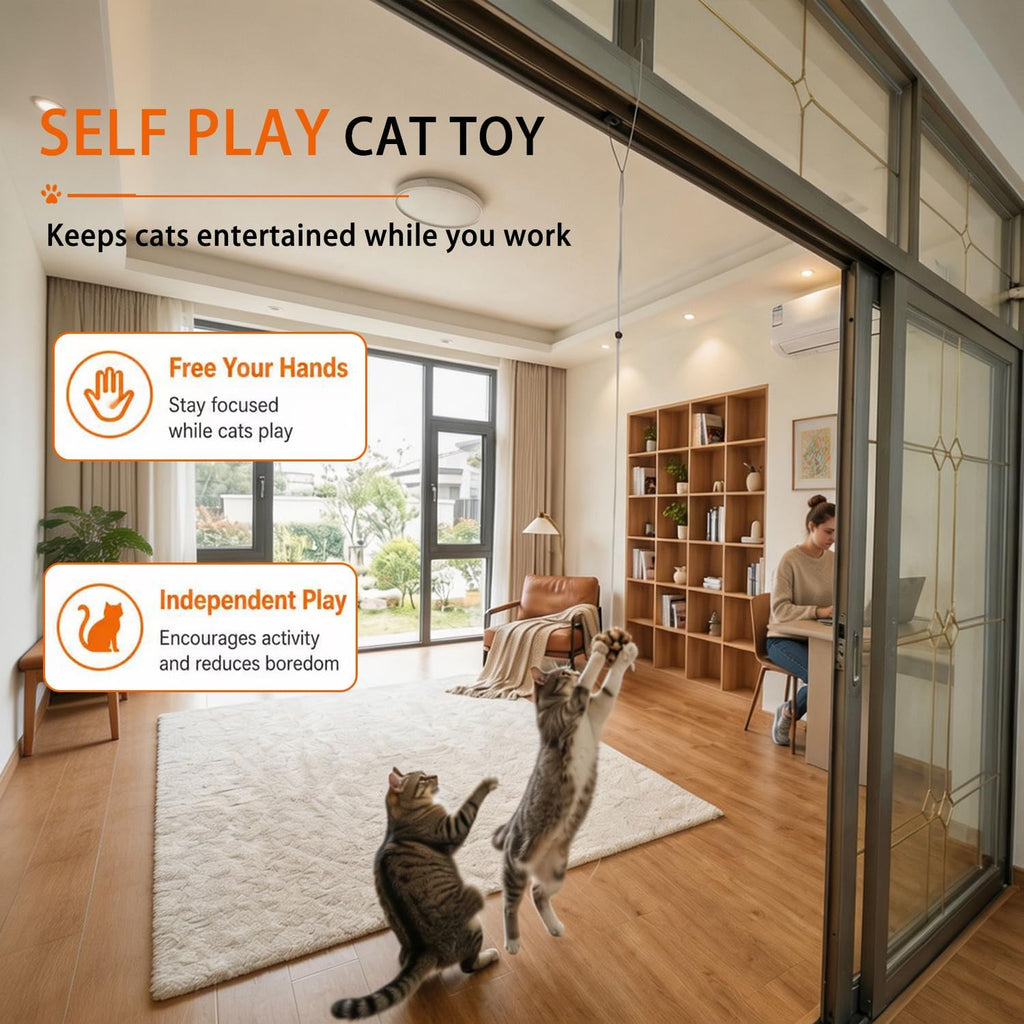 Cat Toys for Indoor Cats,Interactive Door Hanging Cat Toys Attached with Catnip/Feathers/Birds/Worm Toys for Cats/Kitten