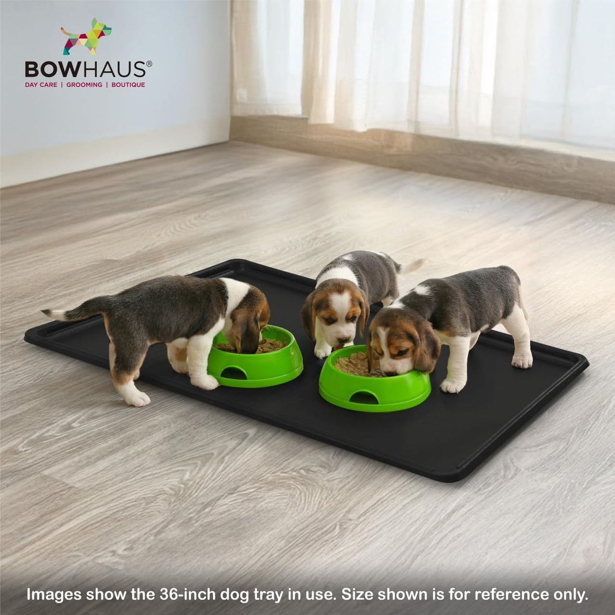 BOWHAUS 22.7-Inch Dog Crate Pan Replacement, Sturdy, Waterproof Plastic Tray for 24-Inch Pet, Rabbit Ferret Critter Kenn
