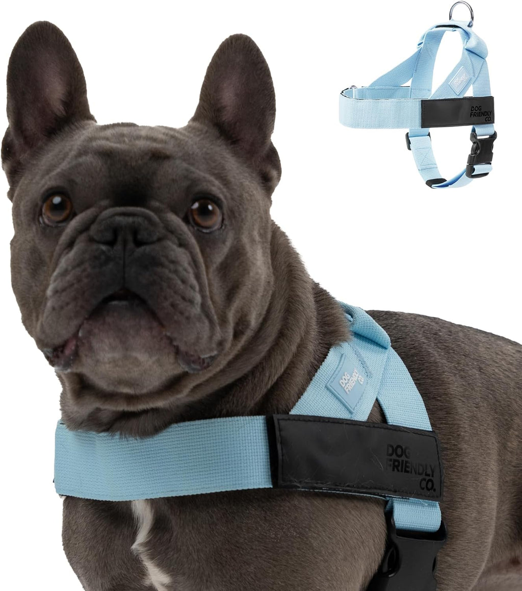Dog Friendly Co. Dog Harness for Medium Sized Dogs (Pink, Medium)