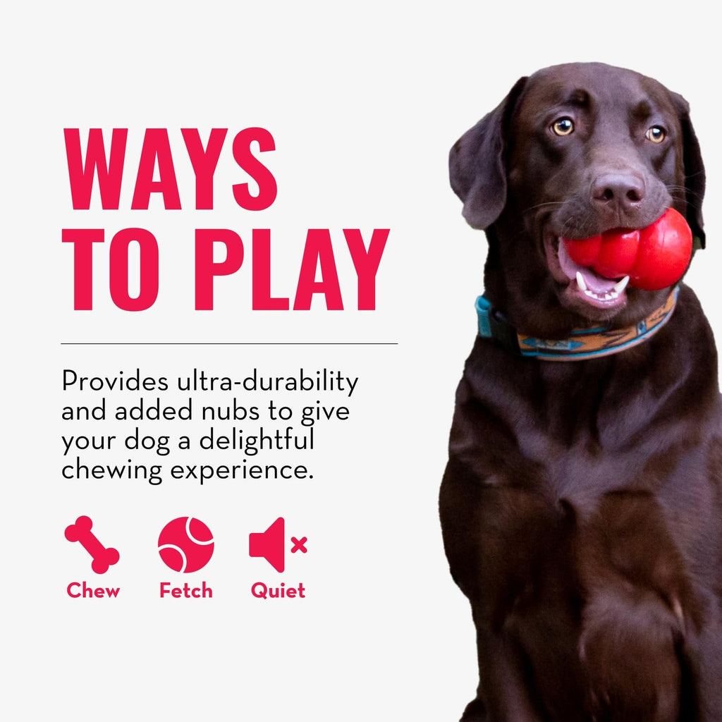 KONG Ring, Natural Rubber Chew Toy for Dental Health, for Small/Medium Dogs