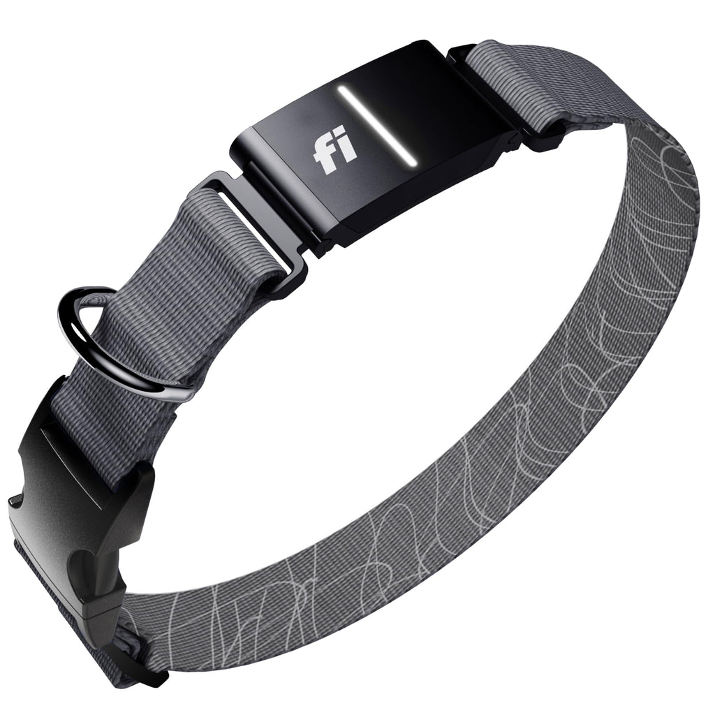 Fi Series 3+ Smart GPS Dog Collar & Pet Tracker, Gray, Large