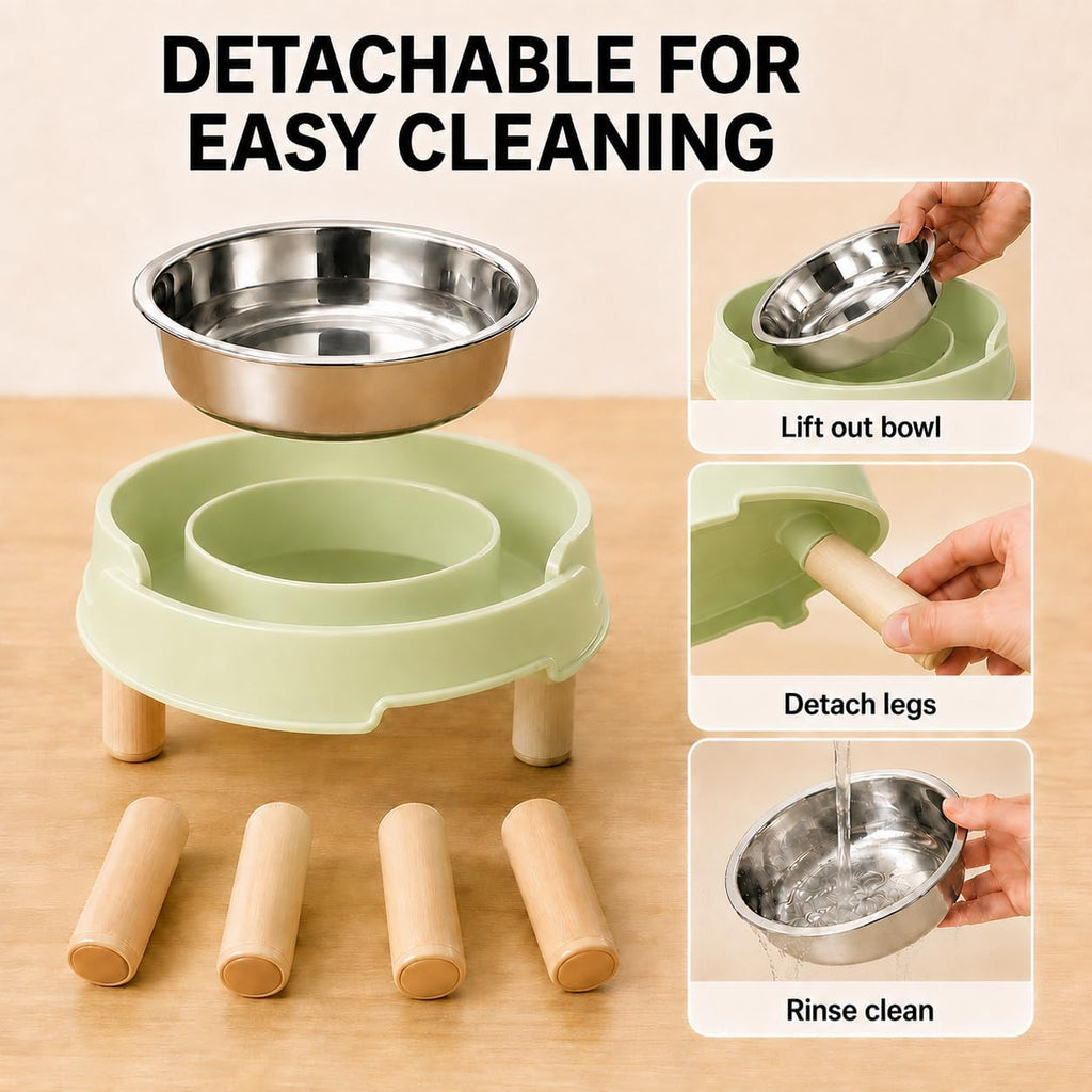 Ant Proof Elevated Cat Bowls with Stainless Steel Bowls (Green-2Pcs)