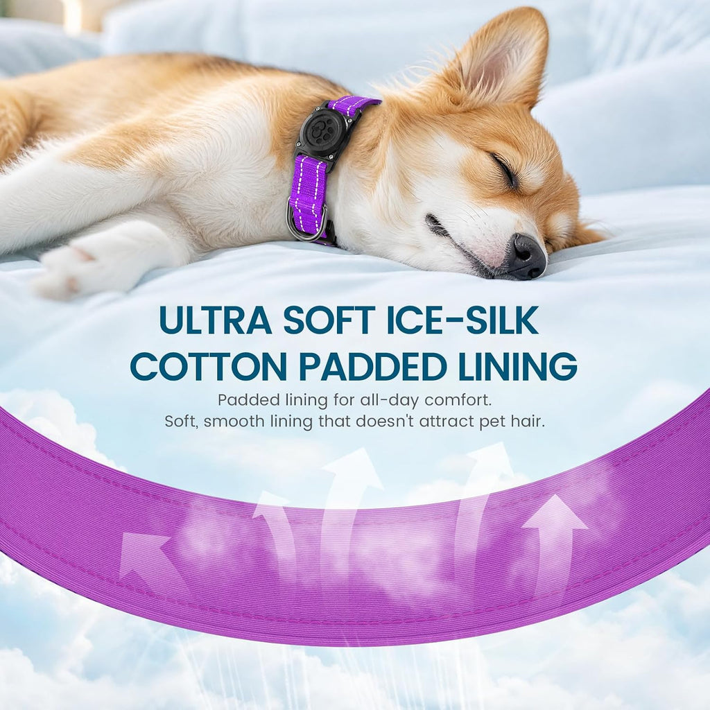 AUBELL Airtag Dog Collar and Bungee Leash Set for Medium Dogs(Purple,M)
