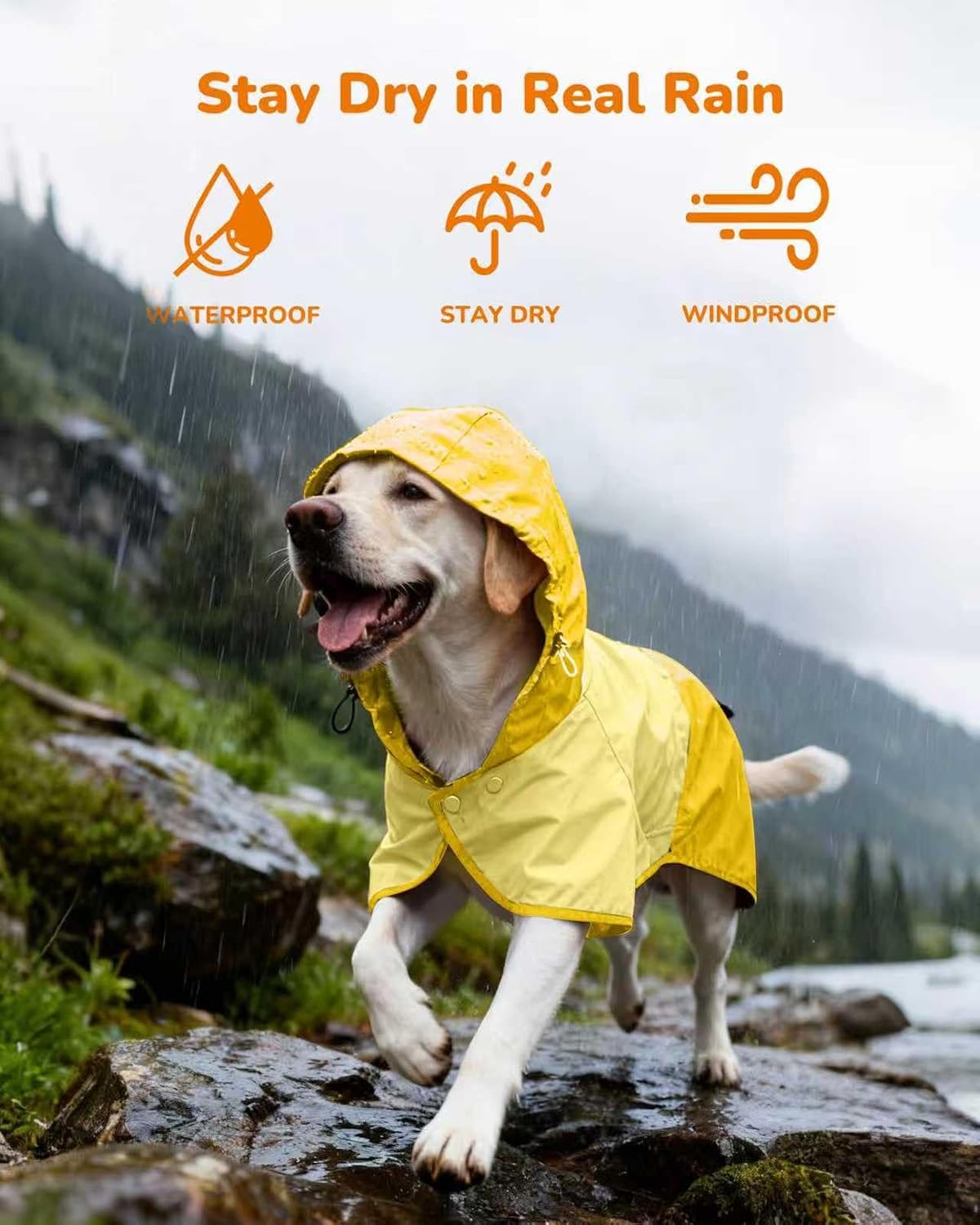 Waterproof Dog Raincoat with Hood, Extended Coverage Rain Jacket for Samll Dogs, Wind-Resistant Secure Fit with Leg Stra