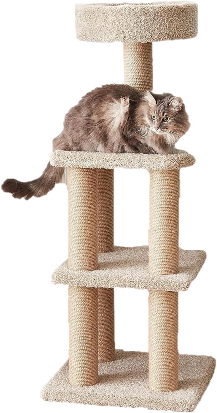 Amazon Basics Cat Tree Tower - Multi-Level Climbing Activity Center for Indoor Cats & Kittens with Scratching Posts, Pla