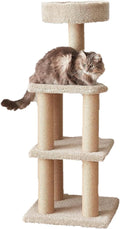 Amazon Basics Cat Tree Tower - Multi-Level Climbing Activity Center for Indoor Cats & Kittens with Scratching Posts, Pla