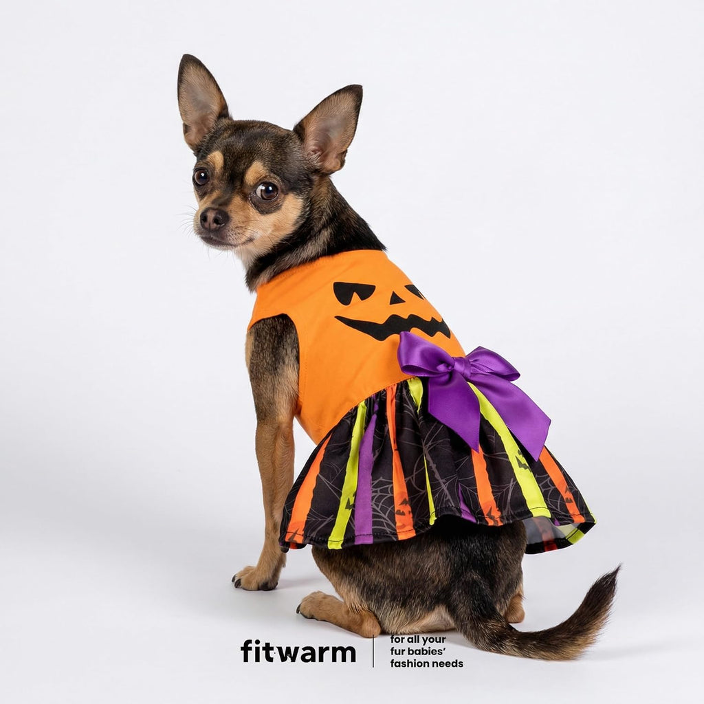 Fitwarm Halloween Pumpkin Dog Dress, Funny Dog Halloween Costumes, Doggy Clothes for Small Dogs Girl, Pet Apparel, Orang
