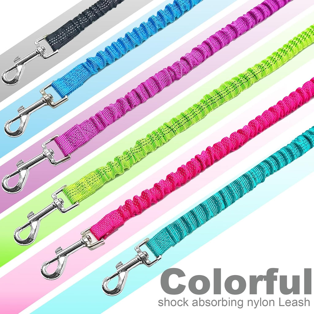 5FT Bungee Dog Leash Shock Absorbing Lightweight Small Medium Dogs