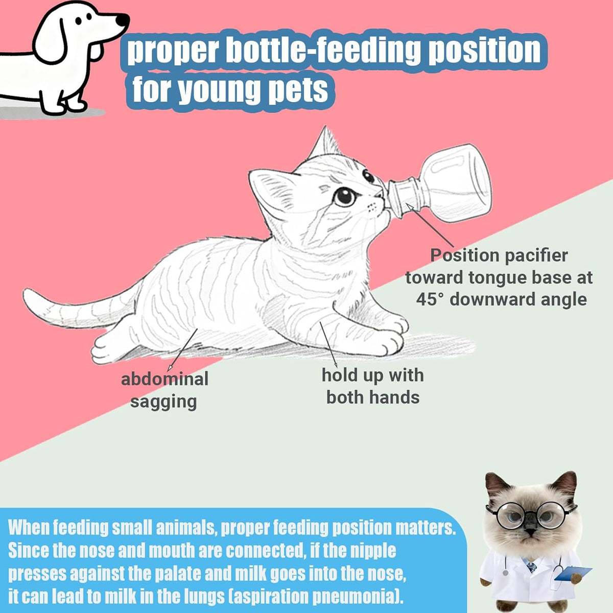 Newborn Pet Feeding Kit, Kitten Bottle Feeding Set with Nursing Nipples, Portable Storage, Emergency Ready, Replaceable 