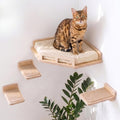 INICIO Cat Wall Shelves and Steps, 4-Piece Wooden Cat Wall Furniture Set