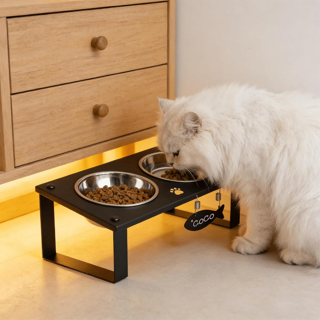 Elevated Cat Bowls with Splash Proof Mat for Kitten Puppy, 10° Tilted Raised Cat Bowl Stand Anti-Vomiting, 2 Wide Shallo