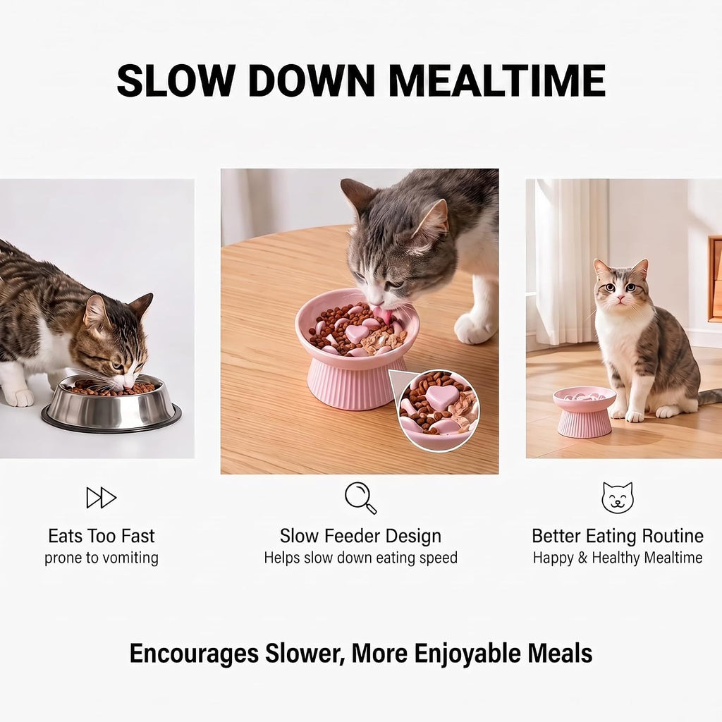 Elevated Slow Feeder Cat Bowl Ceramic Raised Feeder Pink