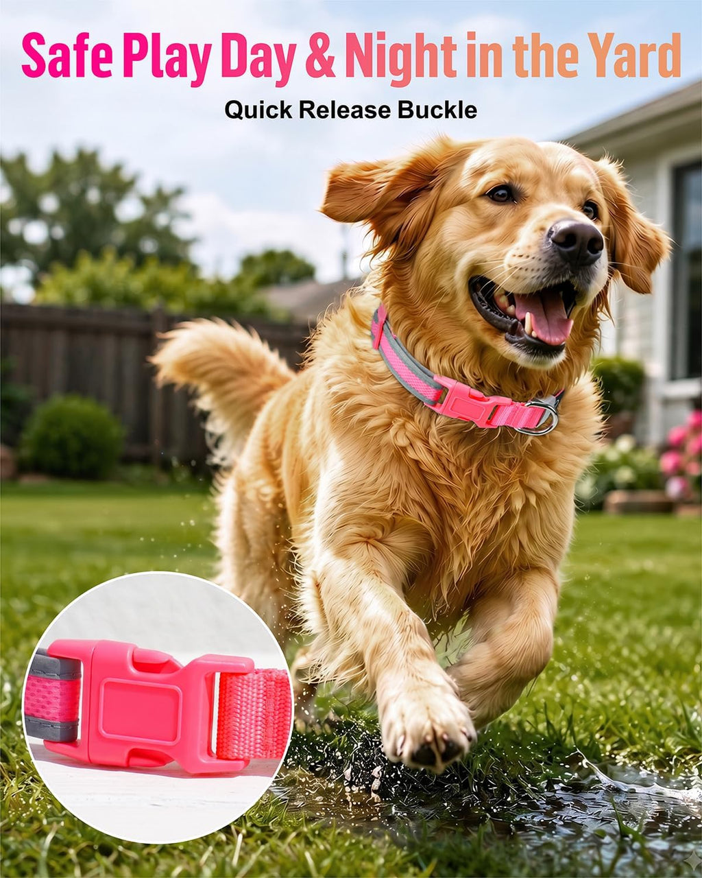Taglory Light Up Dog Collar for Night Walking, LED Rechargeable, Hot Pink M