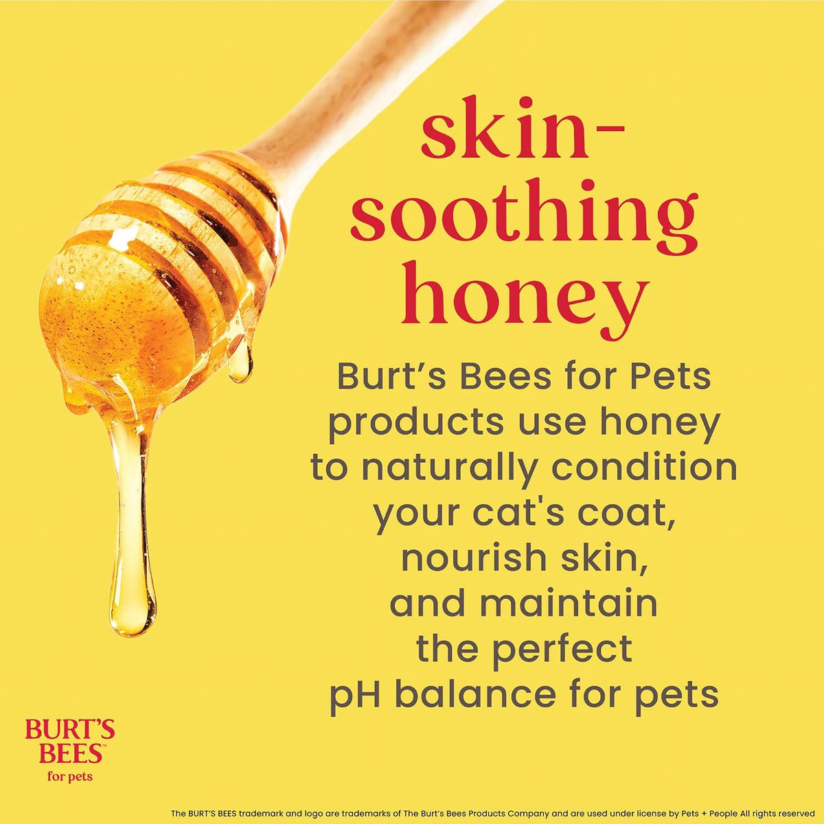Burt's Bees for Pets Cat Dander Reducing Spray, Oat & Honey, 10 Fl Oz, 2-Pk