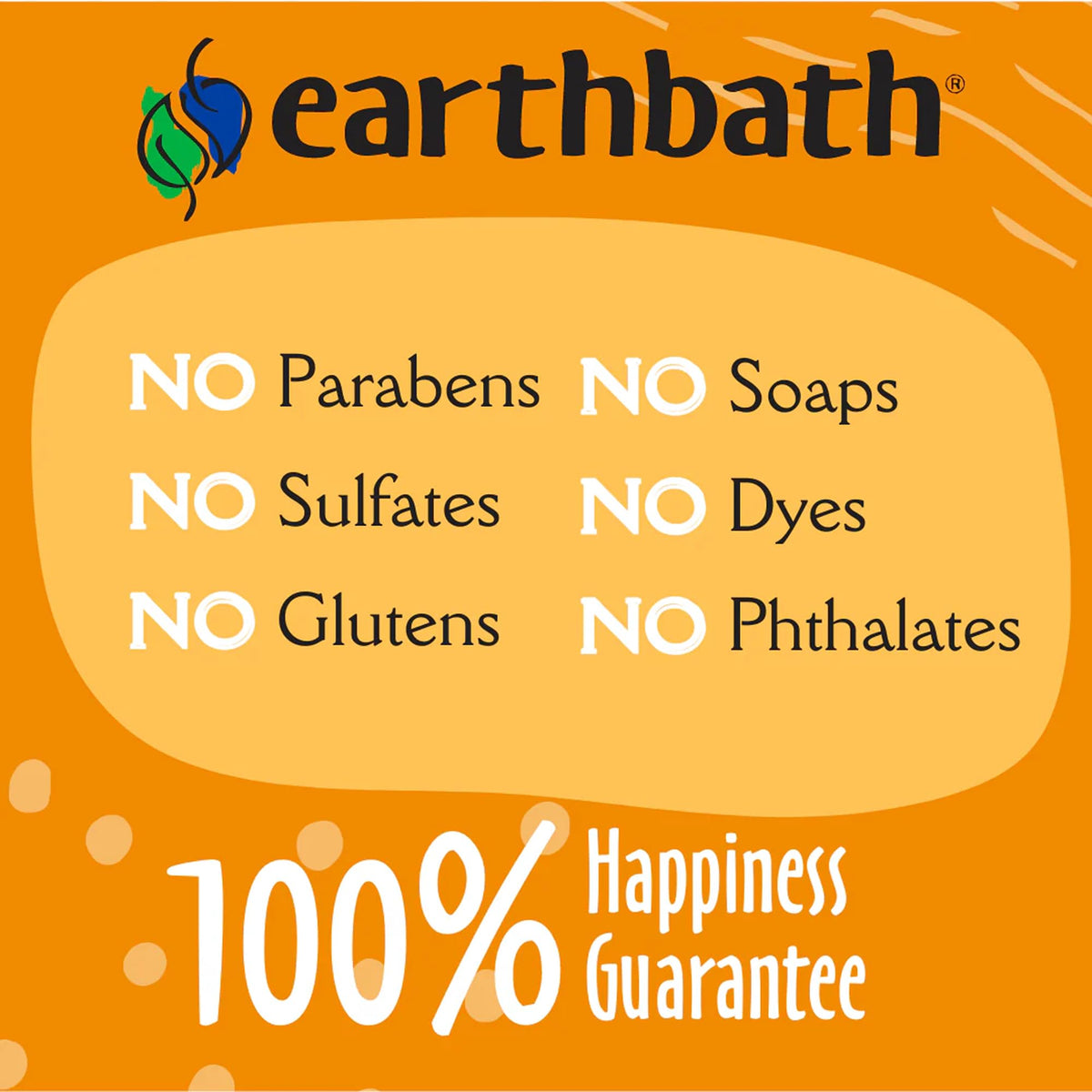 earthbath Oatmeal & Aloe Itch Relief Dog Shampoo, 16 Oz (1 Pack)