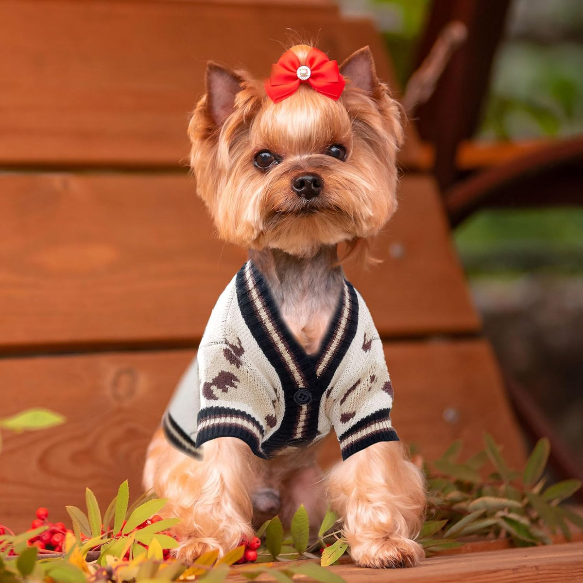 Small Dog Sweaters Cardigans Clothes for Small Medium Dogs Boy Girl