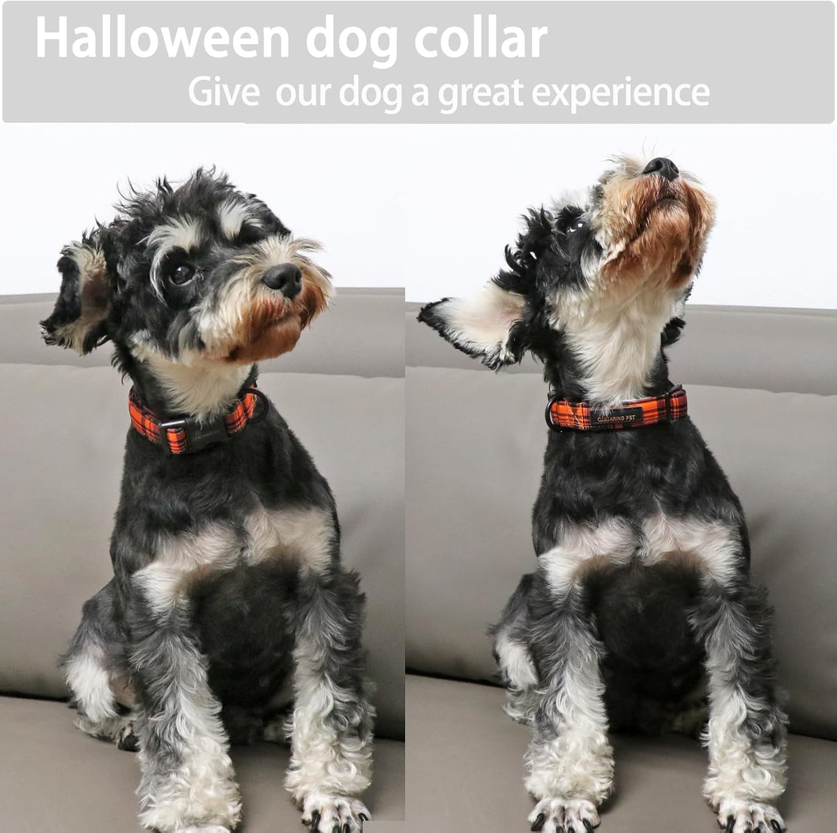 ARING PET Halloween Dog Collar-Cute Fall Dog Collar for Small Dogs, Cotton Halloween Orange Grid Dog Collars for Small M