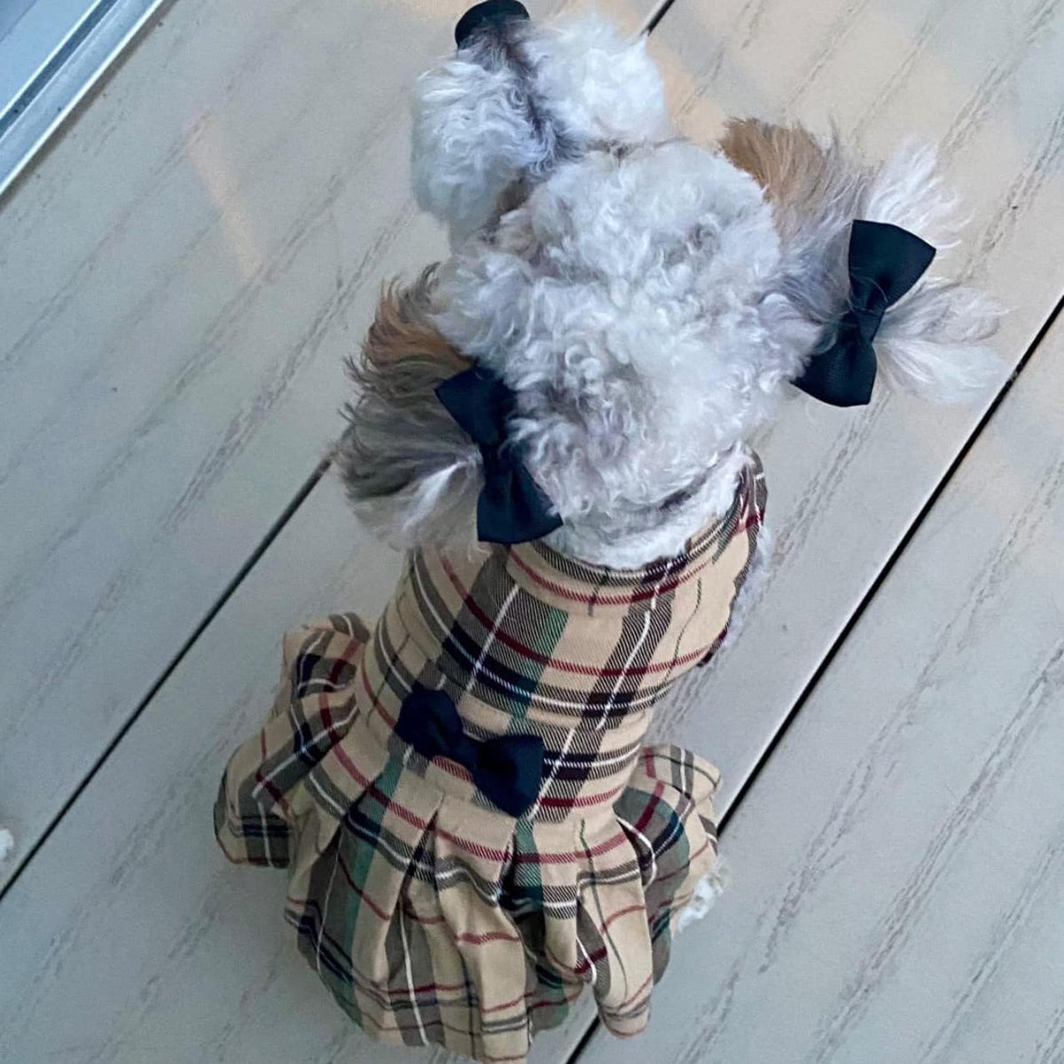 PUPTECK Classic Beige Plaid Dog Dress with Bow Puppy Skirt Clothes S