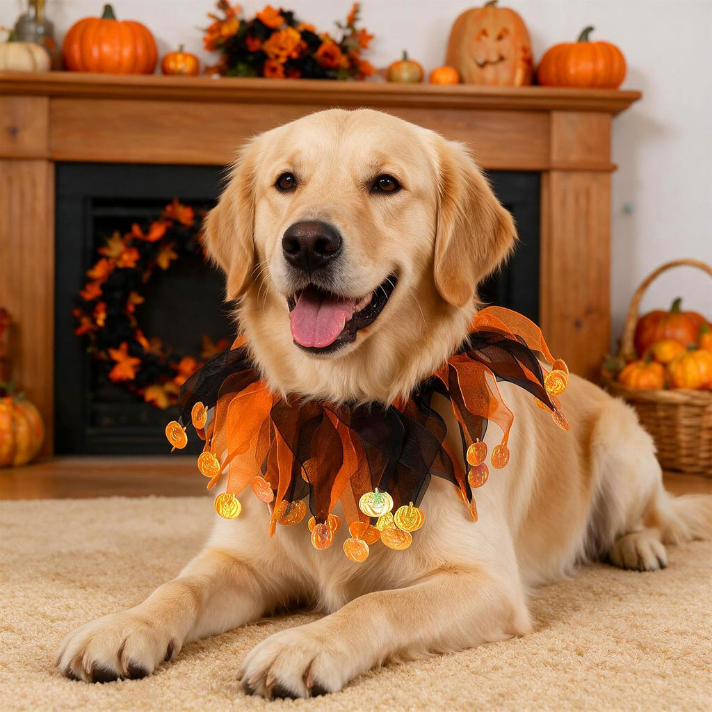 choyaxo Halloween Dog Tutu Collar