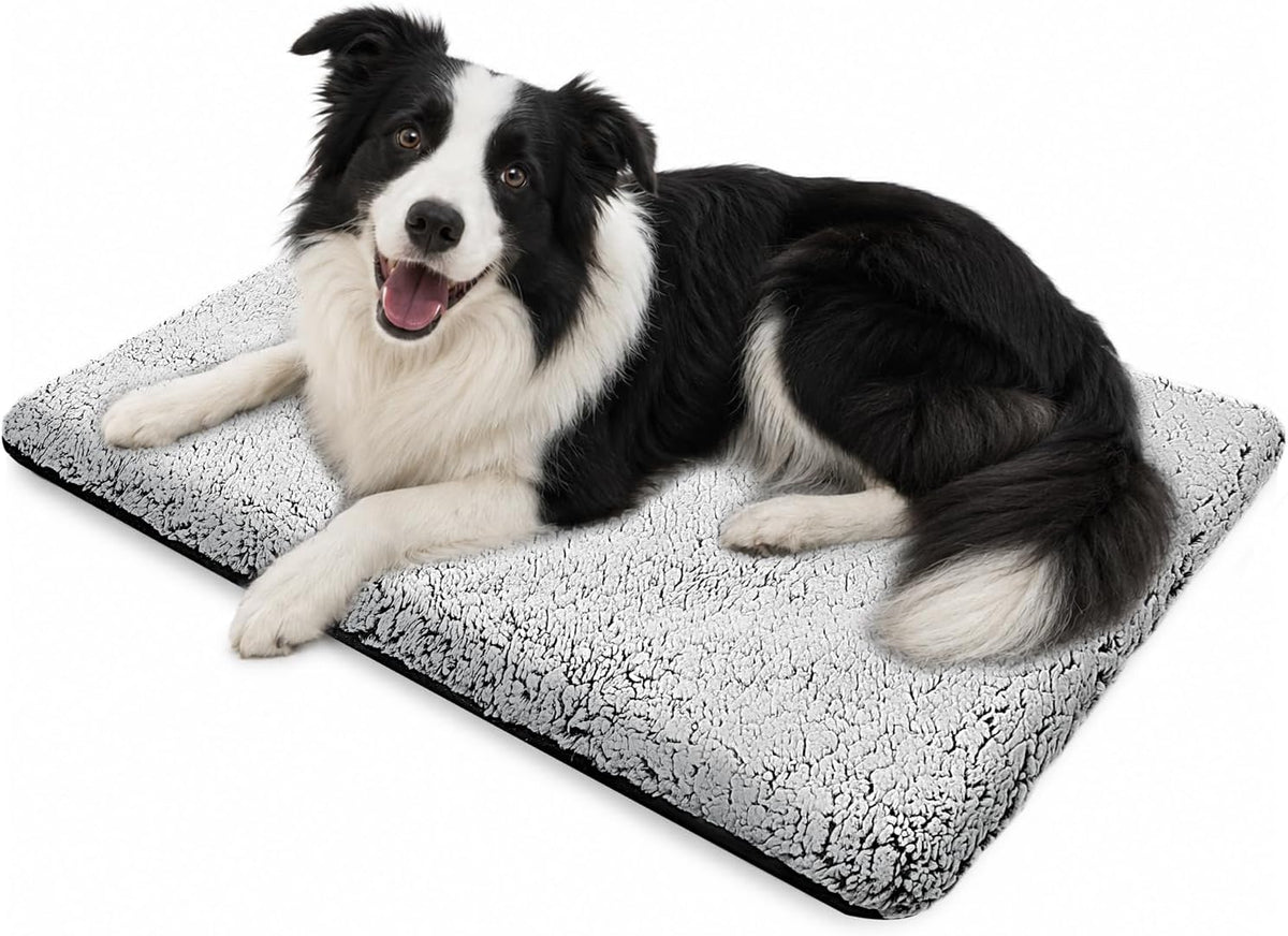 NWK Self Warming Thermal Pet Mat for Dogs and Cats (Coffee Brown, Small)