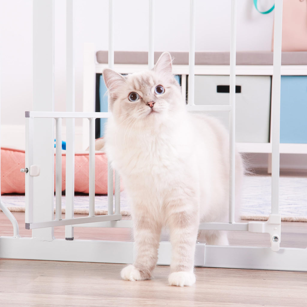 Carlson 29–36.5" Extra Wide Walk-Thru Dog Gate with Small Pet Door, White