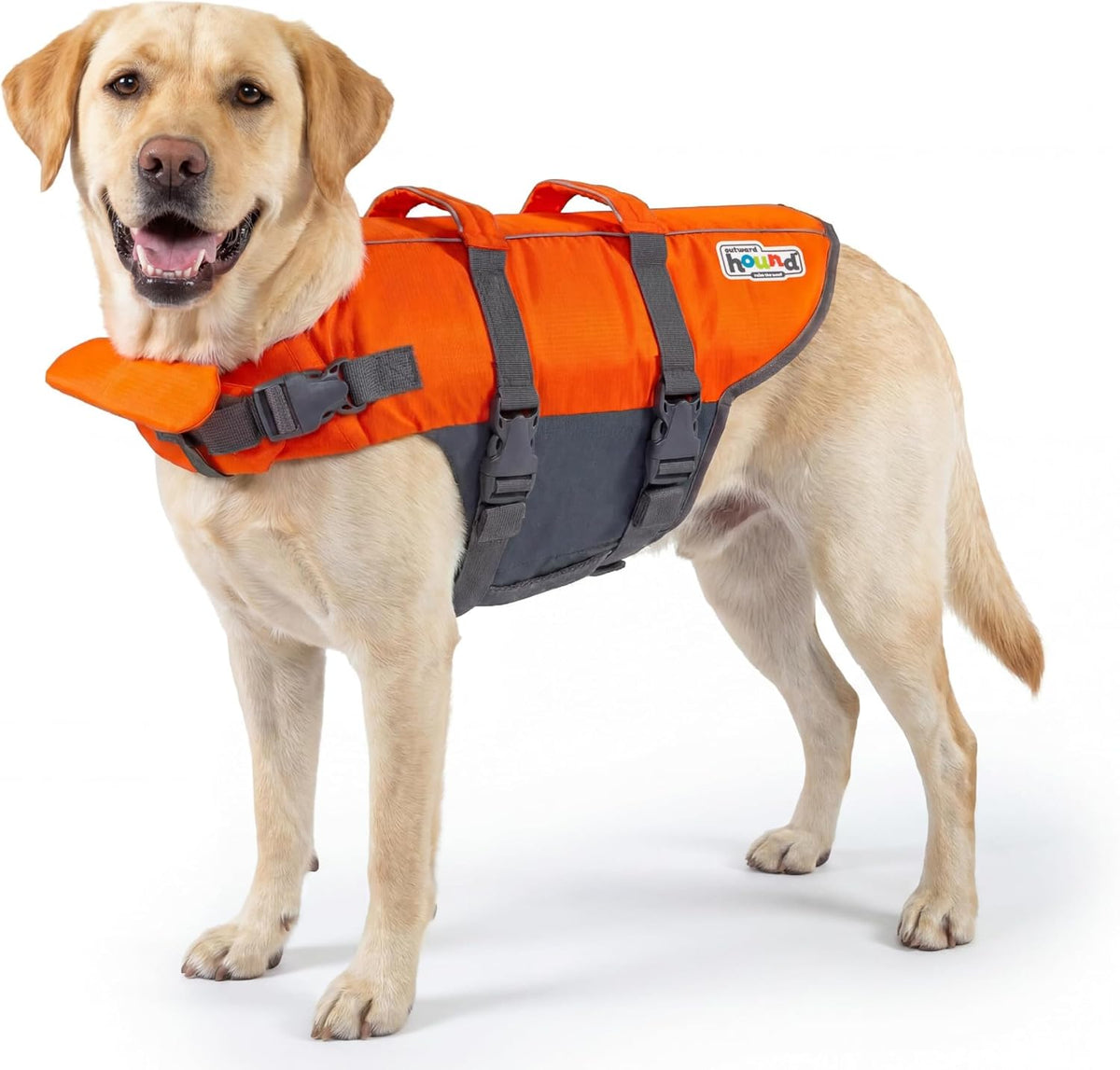 Outward Hound Granby Splash Dog Life Jacket, Life Vest, Orange, Medium
