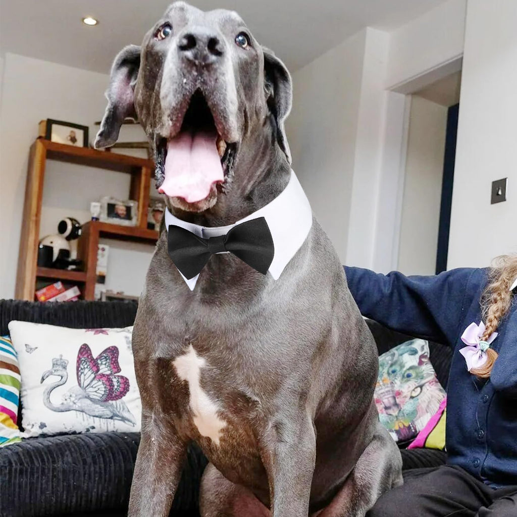 Segarty Dog Bow Tie for Neck Girths 16.5-21.2 in, Adjustable Bowtie Collar for Extra Large Dogs, Dog Neck Tie Tuxedo Com