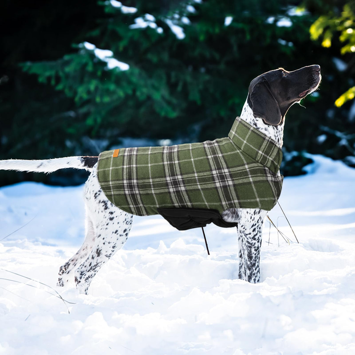 Kuoser Waterproof Dog Coat, Warm Reversible Dog Jacket with Leash Hole