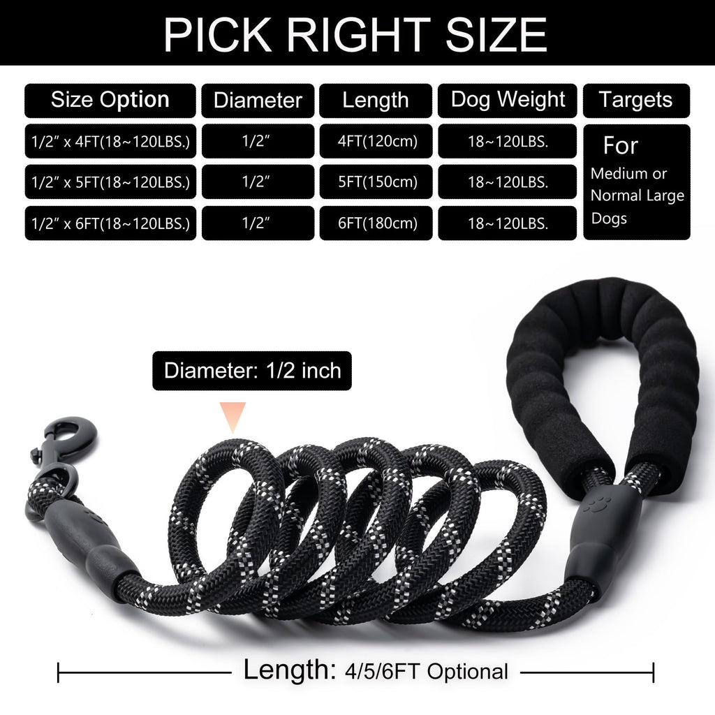 2 Pack Dog Leash, Heavy Duty Nylon Rope Pet Leashes (5FT-1/2,Black/Black)