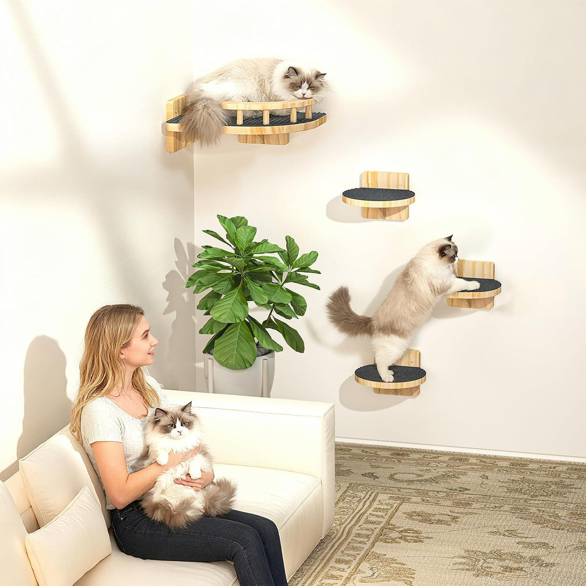 XiaZ Cat Wall Shelves, Corner Cat Shelf with 3 Wide Perch Steps, Kitty Wall Climber Wooden Furniture up to 25lbs, Modern
