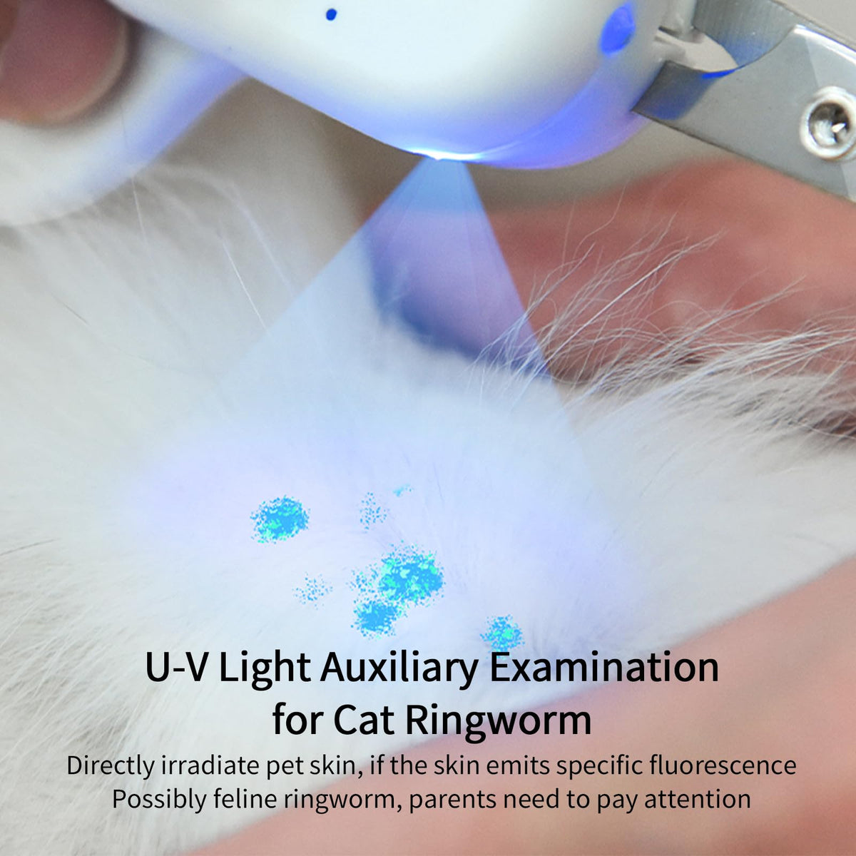 PAKEWAY Cat Nail Clipper with LED Light, Safe & Precise for Cats & Kittens