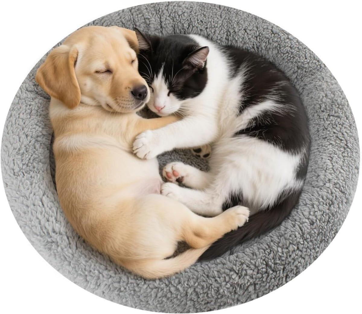 Enjoying Cat Mat Bed 16" x 22" Pet Bed with Pillow Around for Dogs Cats Curled Sleeping Beds for Carrier/Crate Small to 