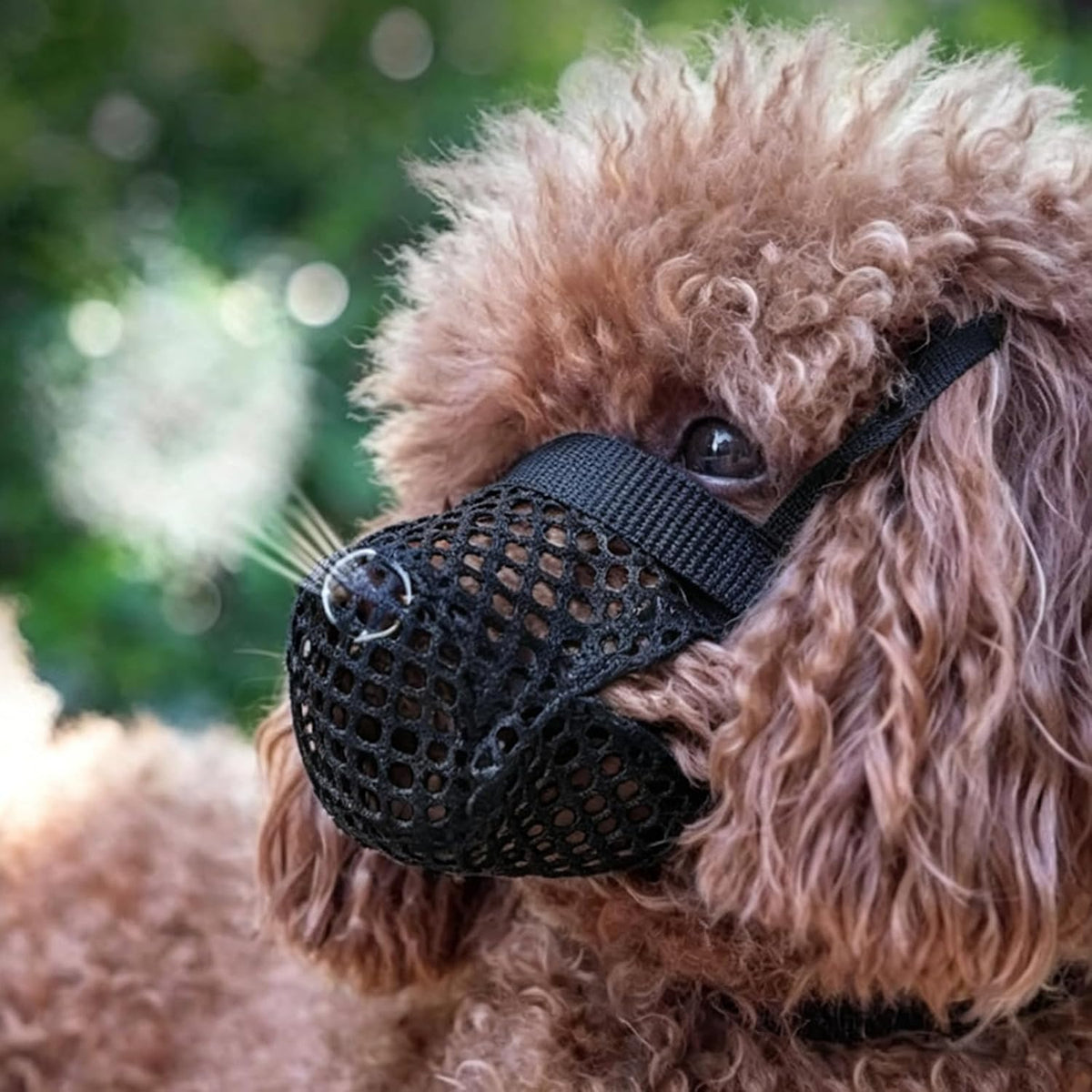Mesh Dog Muzzle for Small Dogs, Nylon Soft Dog Mouth Cover