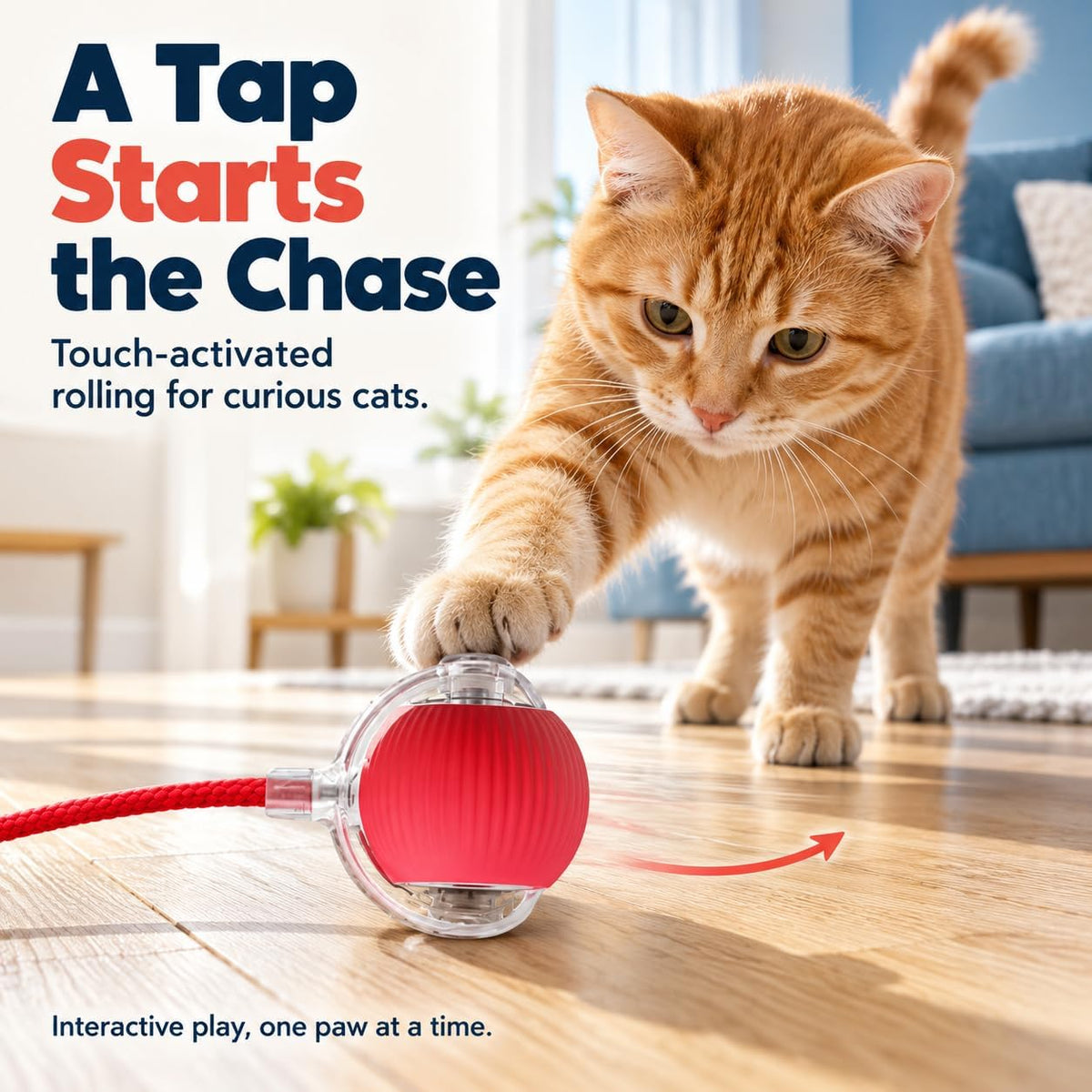 Interactive Cat Toys Balls, Interactive Rolling Dog Ball，Red